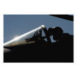 A pilot prepares for take-off photo
