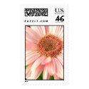 A Pink Flower for You postage
