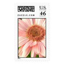 A Pink Flower for You Stamps
