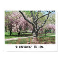 A Pink Spring posters