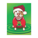 A Pit Bull in a Bear Tee Postcards