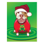 A Pit Bull in a Bear Tee Postcards