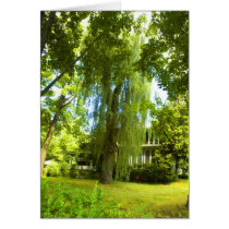 A Place Beyond  - Mystery Almost in Sight Card cards