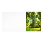 A Place Beyond  - Mystery Almost in Sight Personalized Photo Card