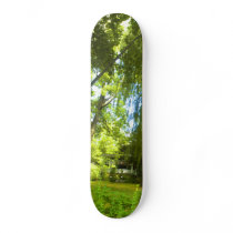 A Place Beyond  - Mystery Almost in Sight Skate Board Deck