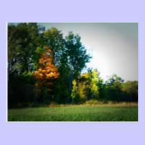 "A Place to Hunt" Postcard postcards