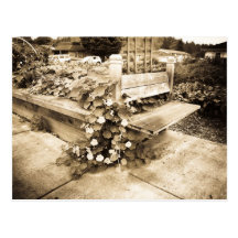 A Place To Rest Postcard