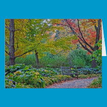 A place to think cards
