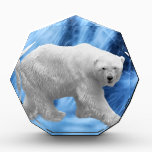 A polar Bear at the frozen waterfall awards