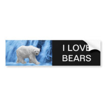 A polar Bear at the frozen waterfall Bumper Stickers