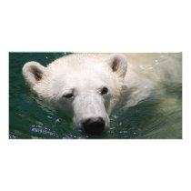 A polar bear just chilling custom photo card