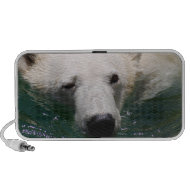 A polar bear just chilling doodle
