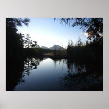 A pond in Maine Posters