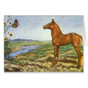 A Pony Moment cards by CowgirlCafeOnline A Pony Moment cards