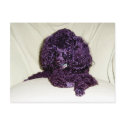 A Poodles L:ife postcards