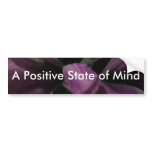 A Positive State of Mind Bumper Stickers