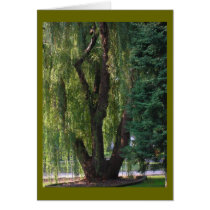 A Prayer cards