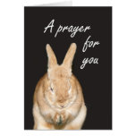 A prayer for you greeting cards