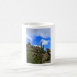 A Premium Piece Of Congress,Arizona Desert mugs