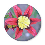 a pretty flower magnet magnets