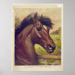 A Prince of the Blood by Currier & Ives Horse Head Print