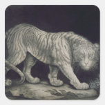 A Prowling Tiger (pencil on paper) Sticker