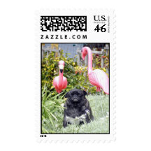 A Pug and her Flamingos Postage