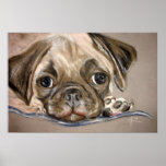 A Pug Puppy Eyes Posters