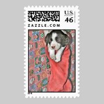 A Puppy For Christmas Postage Stamp stamps