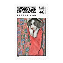 A Puppy For Christmas Postage Stamp
