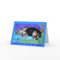 a pups hard day, I Heard It's Your Birthday, cards by minx267 a pups hard day, I Heard It's Your Birthday, cards