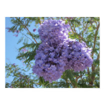 A Purple Blooming Tree Poster
