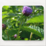 A Purple Garden Flower mousepads
