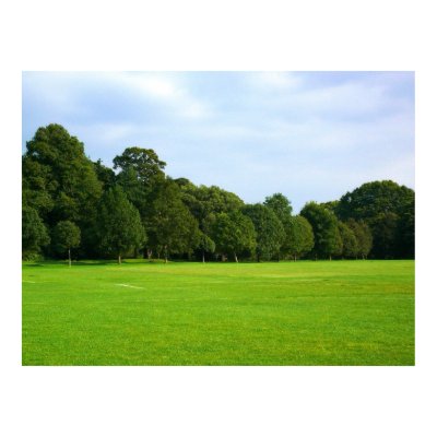A Quiet Afternoon in the Park Poster by artberry