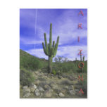 A R I Z O N A POSTCARDS