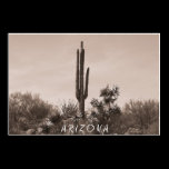 A R I Z O N A posters