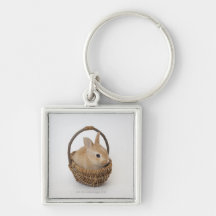 A rabbit is in a basket.Netherland Dwarf. Key Chains