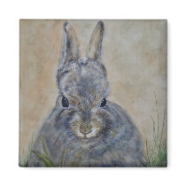 A Rabbit's World Magnet magnets