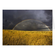 A rainbow appearing through a misty after noon cards