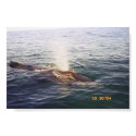 A Real BlowHole posters