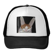 A real live cabbit trucker hats