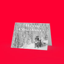 A Real Tree cards