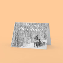 A Real Tree cards