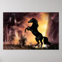 A rearing black stallion at sunset posters
