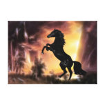 A rearing stallion at sunset stretched canvas print