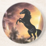 A rearing stallion at sunset coaster