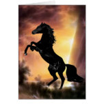 A rearing stallion at sunset greeting cards