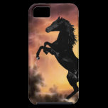 A rearing stallion at sunset casemate cases