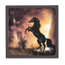 A rearing stallion at sunset premium trinket boxes