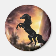 A rearing stallion at sunset refrigerator magnet